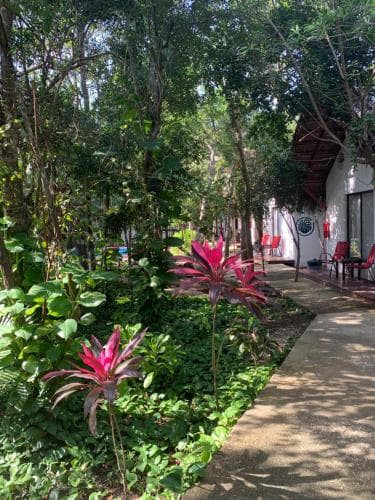 Ecovergel Hotel Riviera Maya, 