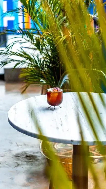 Suculenta Hotel Boutique, 