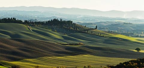 CAM: Toscana (2025-26)