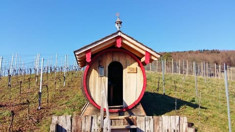 Schwarzenberg's Traube, 