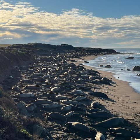 California Dreaming: Yosemite, Death Valley & Coastal Camping