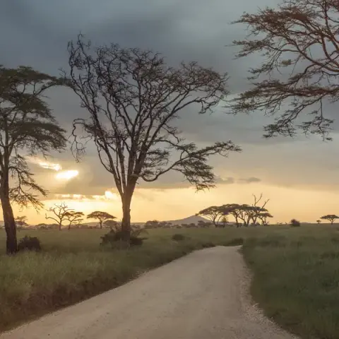 Incredible Tanzania: Serengeti to Zanzibar