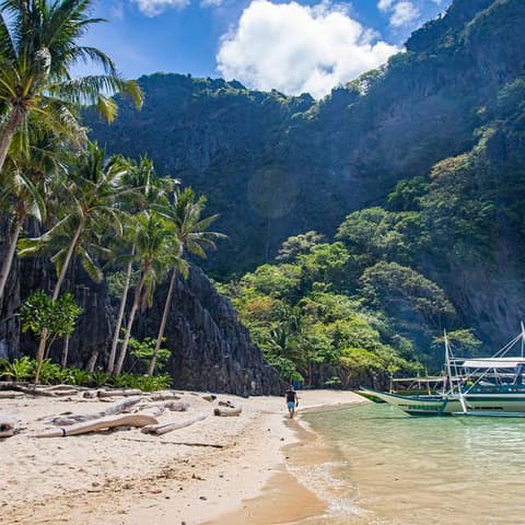 Manila and Palawan: Jungle Trekking, Local Eats & Epic Beaches