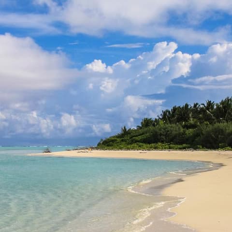 Sri Lanka with Maldives Cruise: Spice Gardens & Seasides