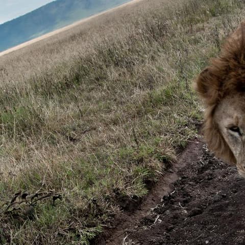 Tanzania to Zanzibar: White Sands & the Wilderness