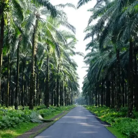 Sumatra to Bali: Wildlife, Waves & Wilderness