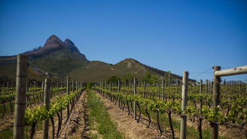 Ultimate South Africa