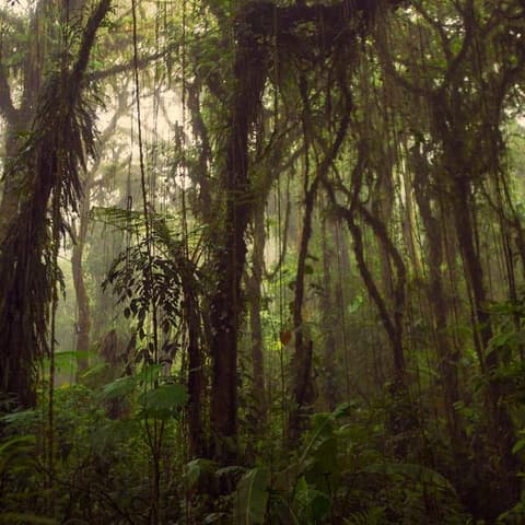 Journeys: Highlights of Costa Rica