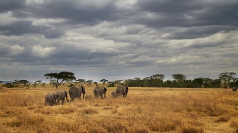 Masai & Tanzania Camping Safari