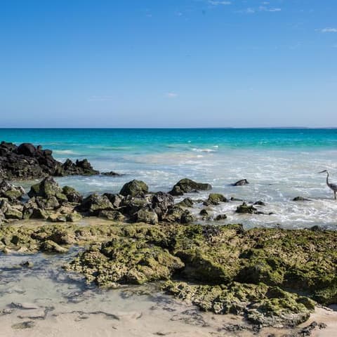 Galápagos Island Hopping