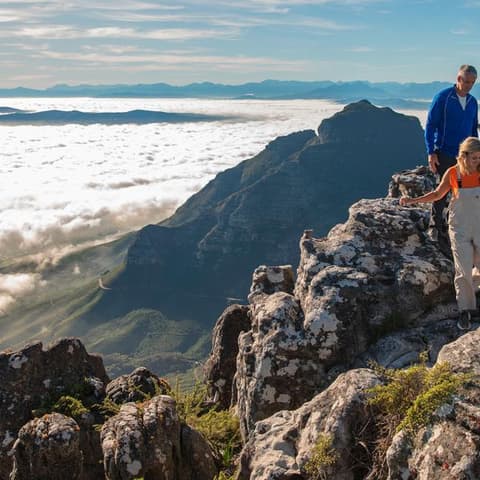 South Africa: Kruger Wildlife Tracking & Vineyards