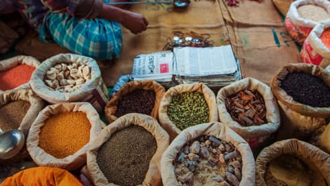 Northern India: Riverside Safaris, Ancient Fortresses & The Taj Mahal