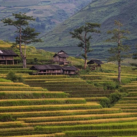 Classic Vietnam: Sapa to Ho Chi Minh