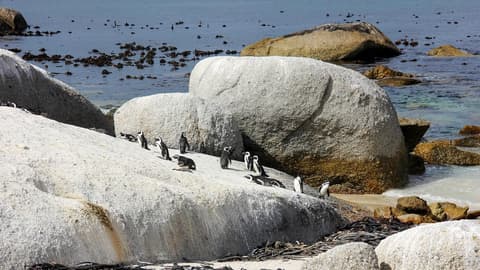 Solo-ish South Africa