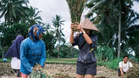 Lombok & Gili Adventure: Culture, Peaks & Paradise