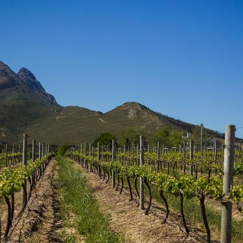 Ultimate South Africa