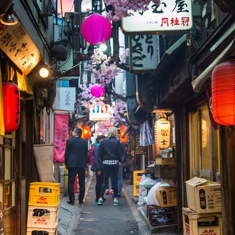 Japan Family Journey: From Ancient to Modern Times