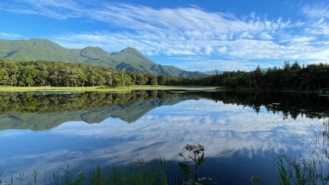 Active Northern Japan: Tokyo & Hokkaido
