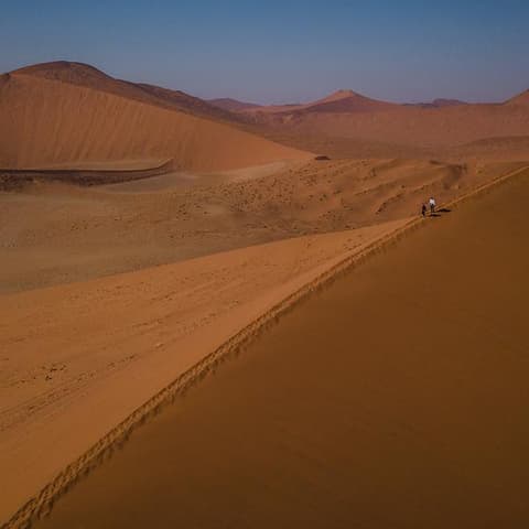 Cape & Dunes Northbound: Wildlife & Starry Night Skies