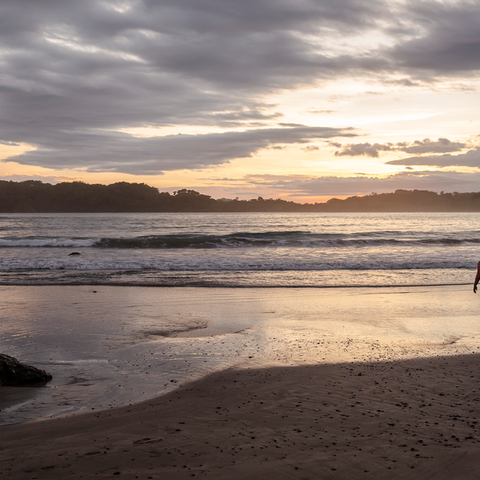 Costa Rica: Wildlife, National Parks & Hidden Gems of the Northwest