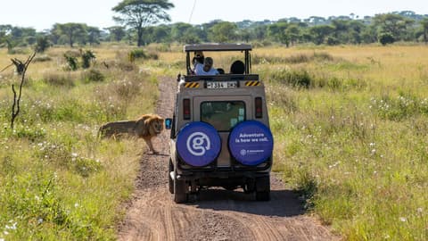 Nairobi to Kampala Overland Safari & Participation Camping