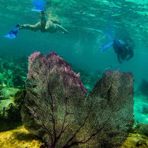 Journeys: Explore Belize