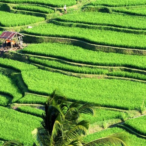 Indonesia: Bali Adventure