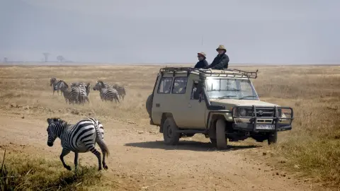 Tanzania Uncovered: Wildlife of the Serengeti & Ngorongoro Crater