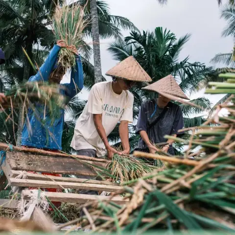 Bali to Lembongan: Island Hopping Bliss
