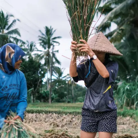 Lombok & Gili Adventure: Culture, Peaks & Paradise