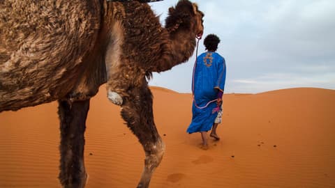Complete Morocco: The Sahara to the Coast