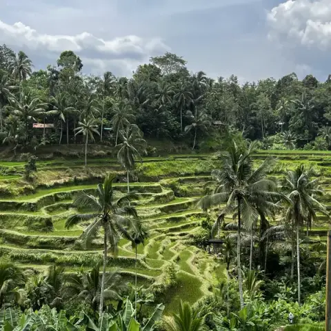 Bali’s Wild Heart: Soul, Surf & Spirit