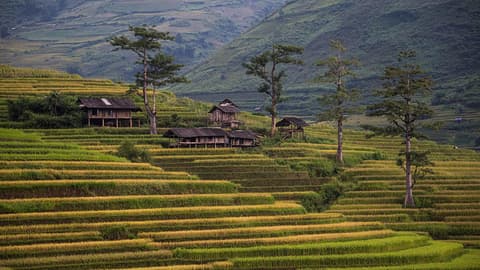 Classic Vietnam: Sapa to Ho Chi Minh