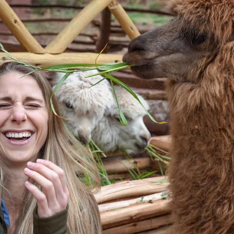 Inca Adventure: Cusco, Machu Picchu & the Best Views Ever