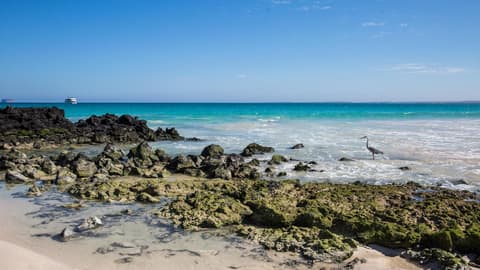 Galápagos Island Hopping