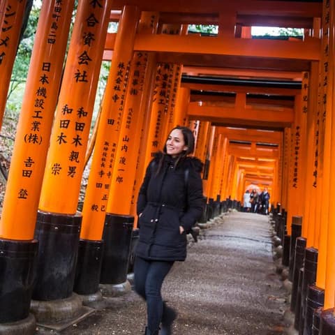 Epic Japan: Speed Trains & Street Food