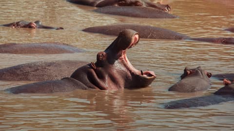 Kenya: Cultural Connections, Mt Kenya & Maasai Mara