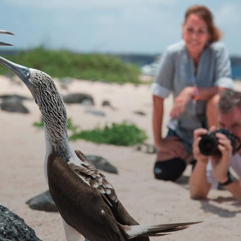 The Galápagos: Wildlife of Santa Cruz & Isabela Islands