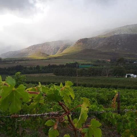 South Africa: Cape Town & The Garden Route