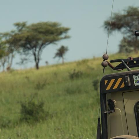 Journeys: Tanzania Safari Experience