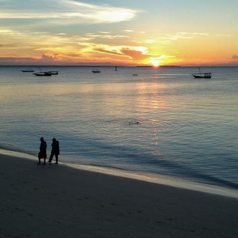 Classic Serengeti & Zanzibar