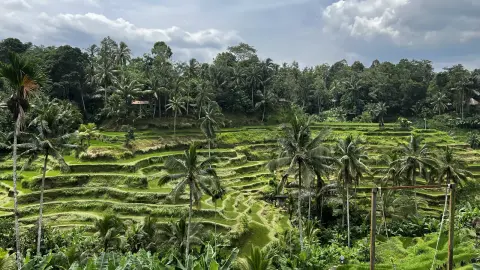 Bali’s Wild Heart: Soul, Surf & Spirit