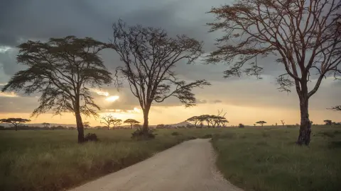 Incredible Tanzania: Serengeti to Zanzibar