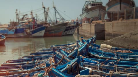 Morocco: Marrakech and the Coast