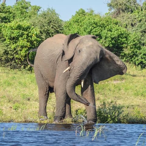 Botswana & Victoria Falls Adventure