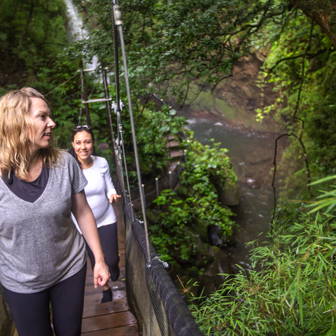 Costa Rica: The Wonders & Wildlife of the North