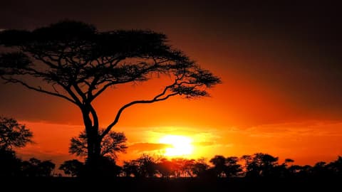 Nairobi to Zanzibar: Serengeti & Sunsets