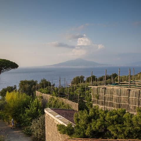 Local Living Italy—Sorrento