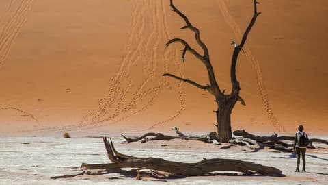 Dunes, Deltas & Falls Discoverer