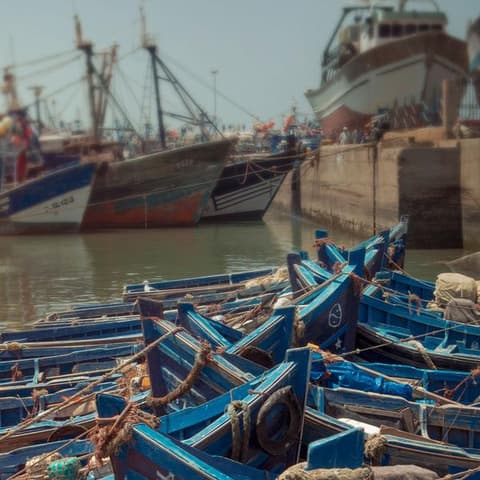 Morocco: Marrakech and the Coast